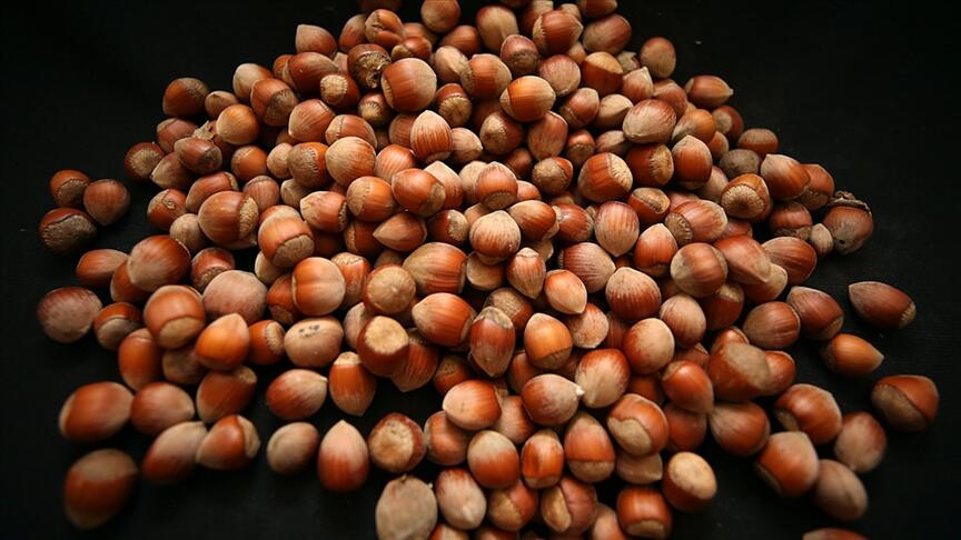 Trabzon'dan 5 ayda 343 milyon dolarlık fındık ihracatı gerçekleşti