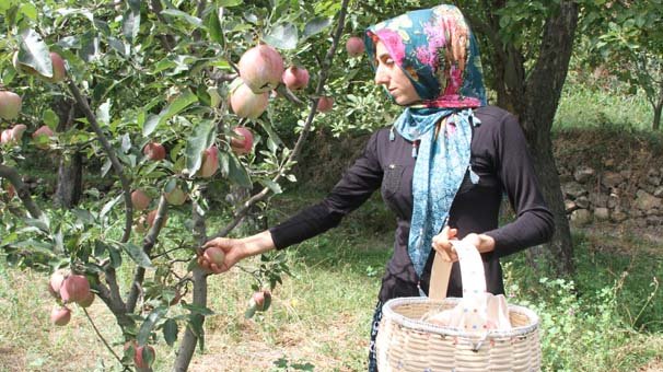 Tropicana Bahçe Okulları Programı ile çiftçiye ve meyveciliğe destek