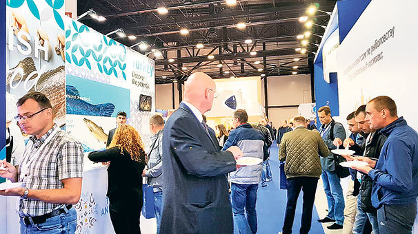 Türk çipura ve levreği Rusların gözdesi oldu