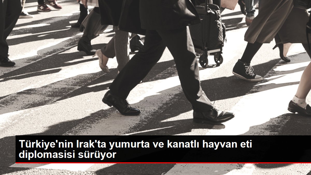 Türkiye'nin Irak'ta yumurta ve kanatlı hayvan eti diplomasisi sürüyor