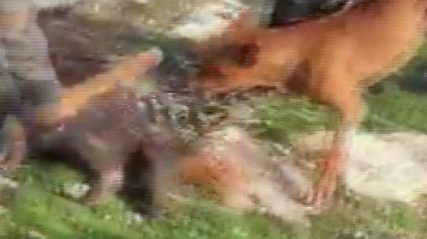 Türkiye'nin konuştuğu olayda flaş gelişme!