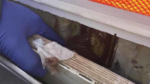 Van'da eve geçirildi! Tam 141 kilo