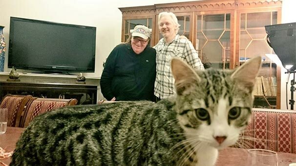 WikiLeaks'in kurucusu Assange’in avukatından açıklama