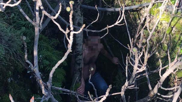 Yarı çıplak halde ormanda yakalanan kişi hakkında flaş gelişme!