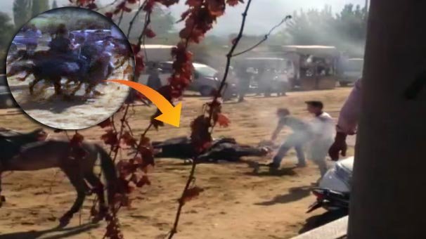 Yarış atı 45 kilometre hızla çarpınca...