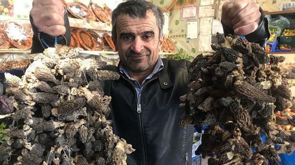 Yazın toplanıyor kışın kilogramını 800 TL'den satıyorlar!