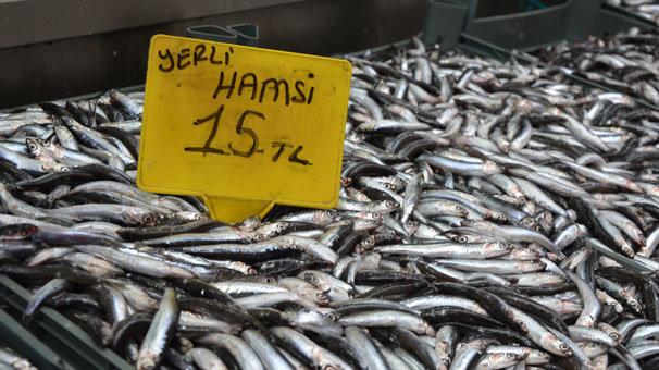 Yerli hamsi tezgahlarda