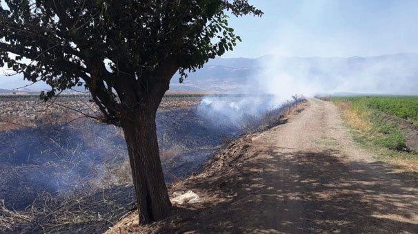 Yılanı kaçırmak için ateş yaktılar, olanlar oldu!