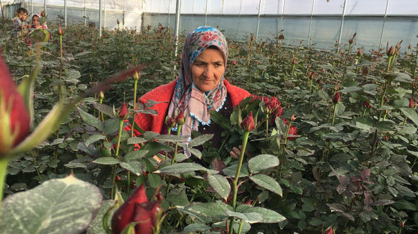 Yılbaşı çiçek üreticilerine yaradı