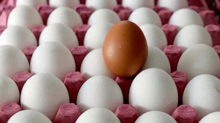 Yumurta üretimi azaldı