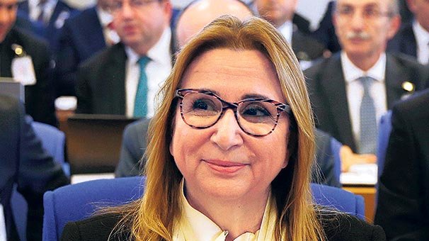 Zeytin Dalı Gümrük Kapısı faaliyetTE